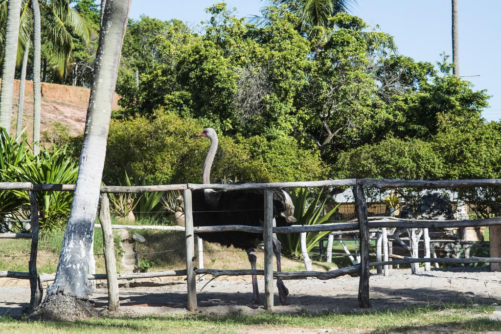 Fazenda Fiore Resort Paripueira Kültér fotó