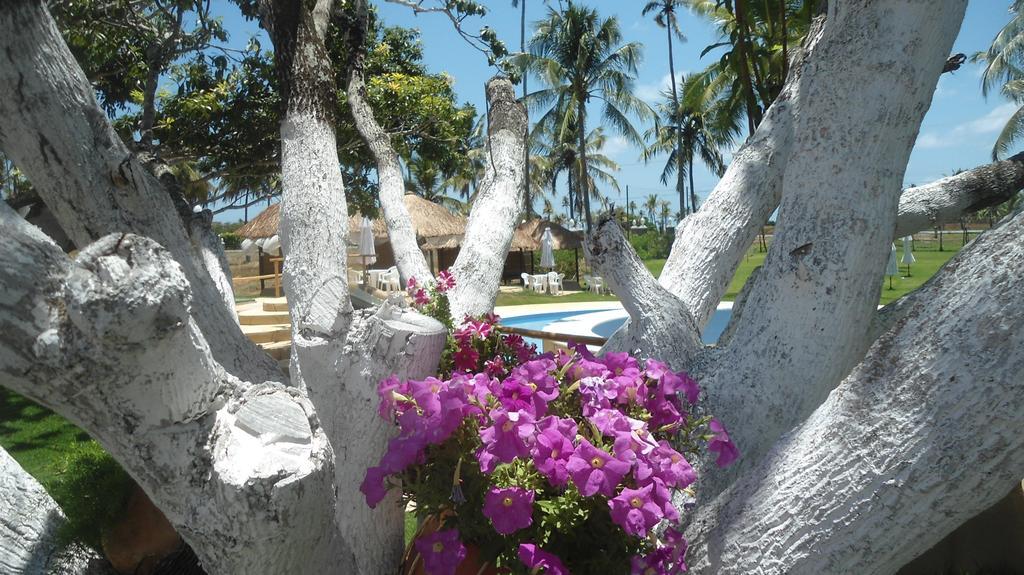 Fazenda Fiore Resort Paripueira Kültér fotó